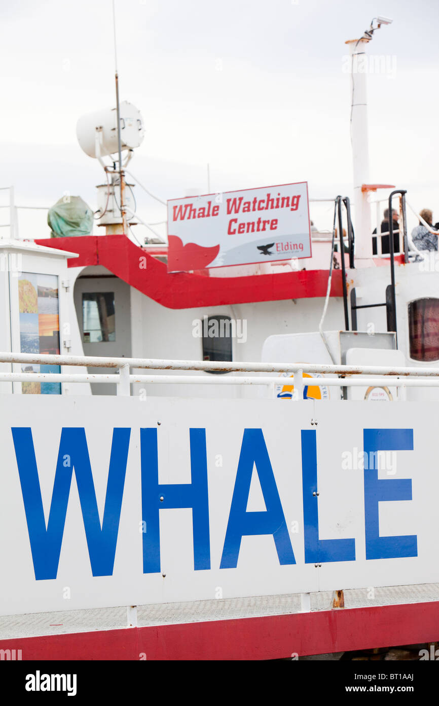 Des bateaux d'observation des baleines dans la région de Reykjavik, Islande, Banque D'Images