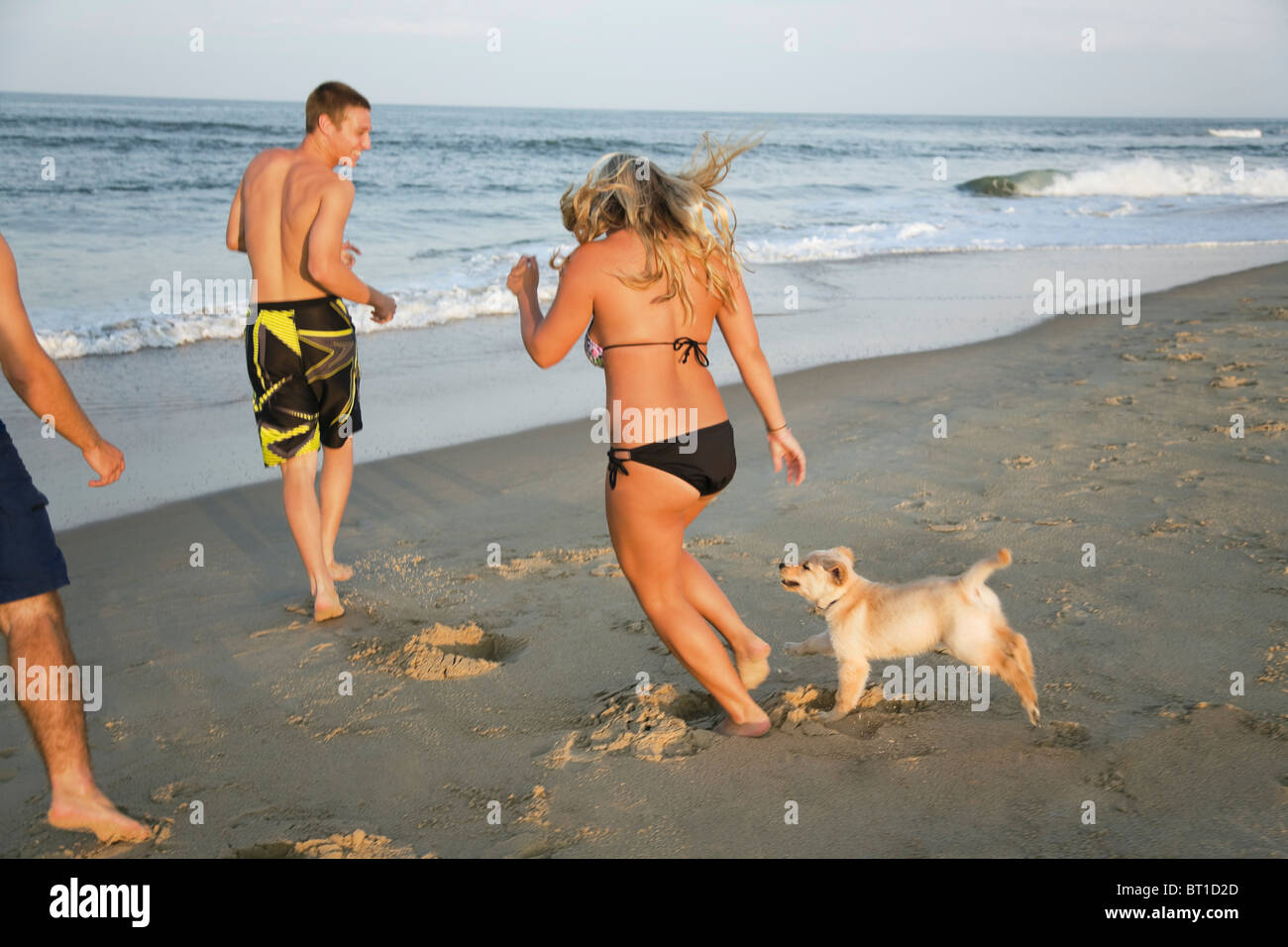 Les adolescents et puppy running on beach Banque D'Images