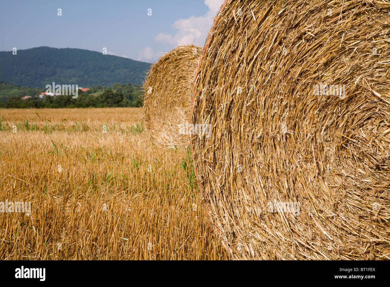 Balle de la paille Banque D'Images