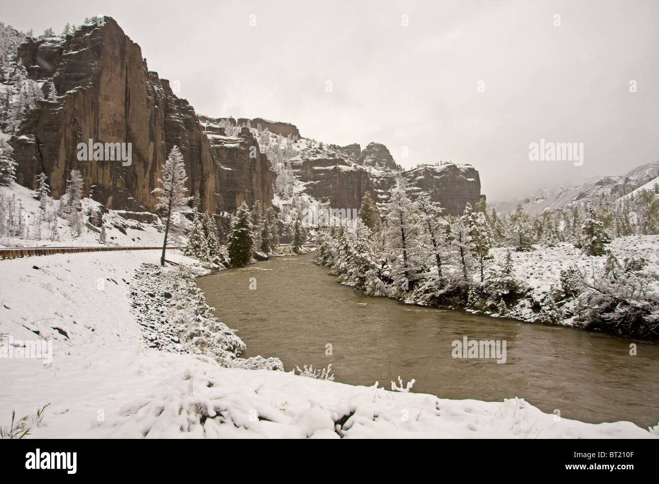 Paysage enneigé, forêt nationale de Shoshone, Wyoming, USA Banque D'Images