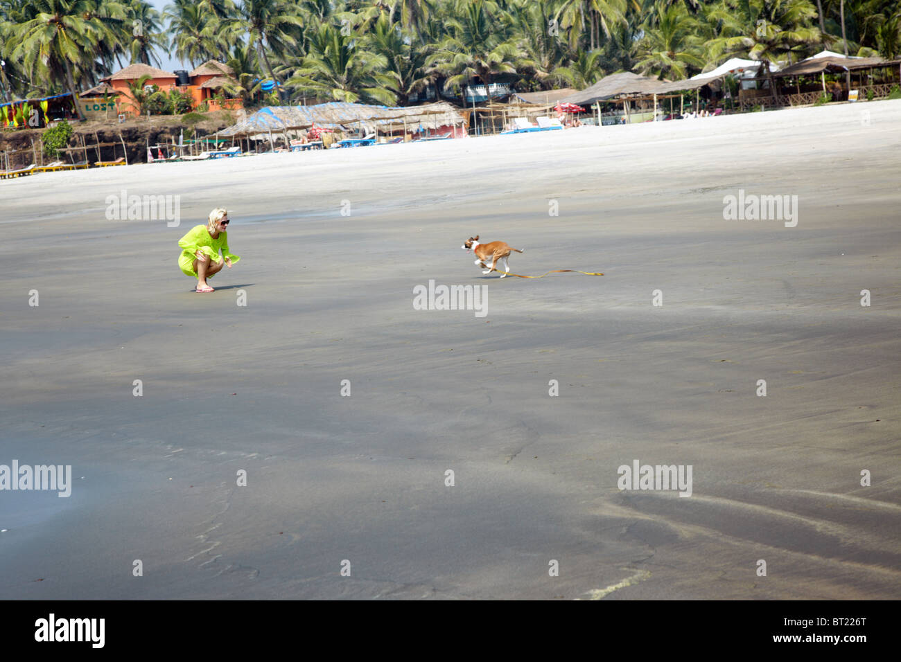 Editorial La photo d'une femme sur la plage jouant avec son chien à proximité de l'hôtel Banque D'Images