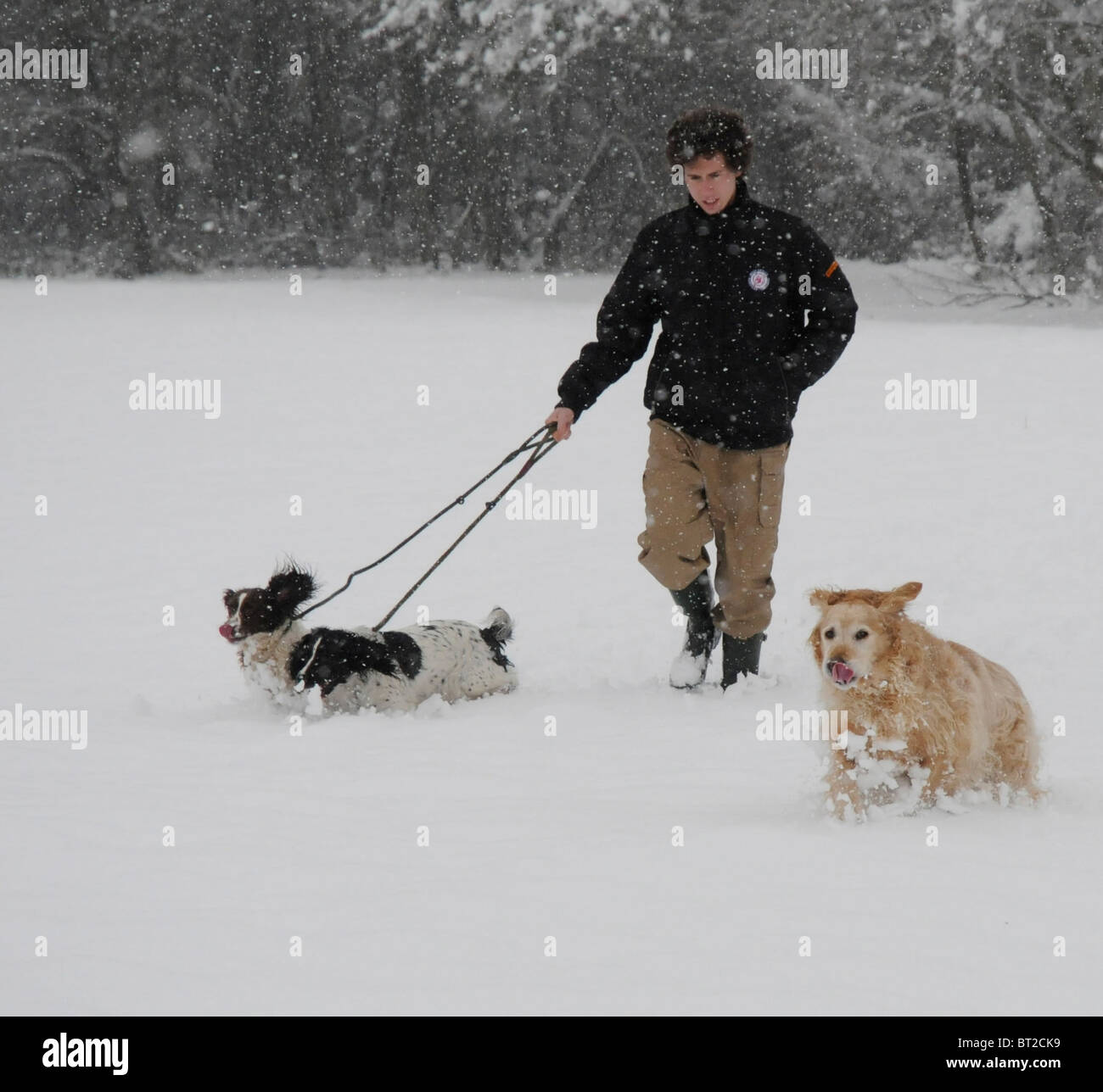 Un garçon marcher ses chiens dans la neige Banque D'Images