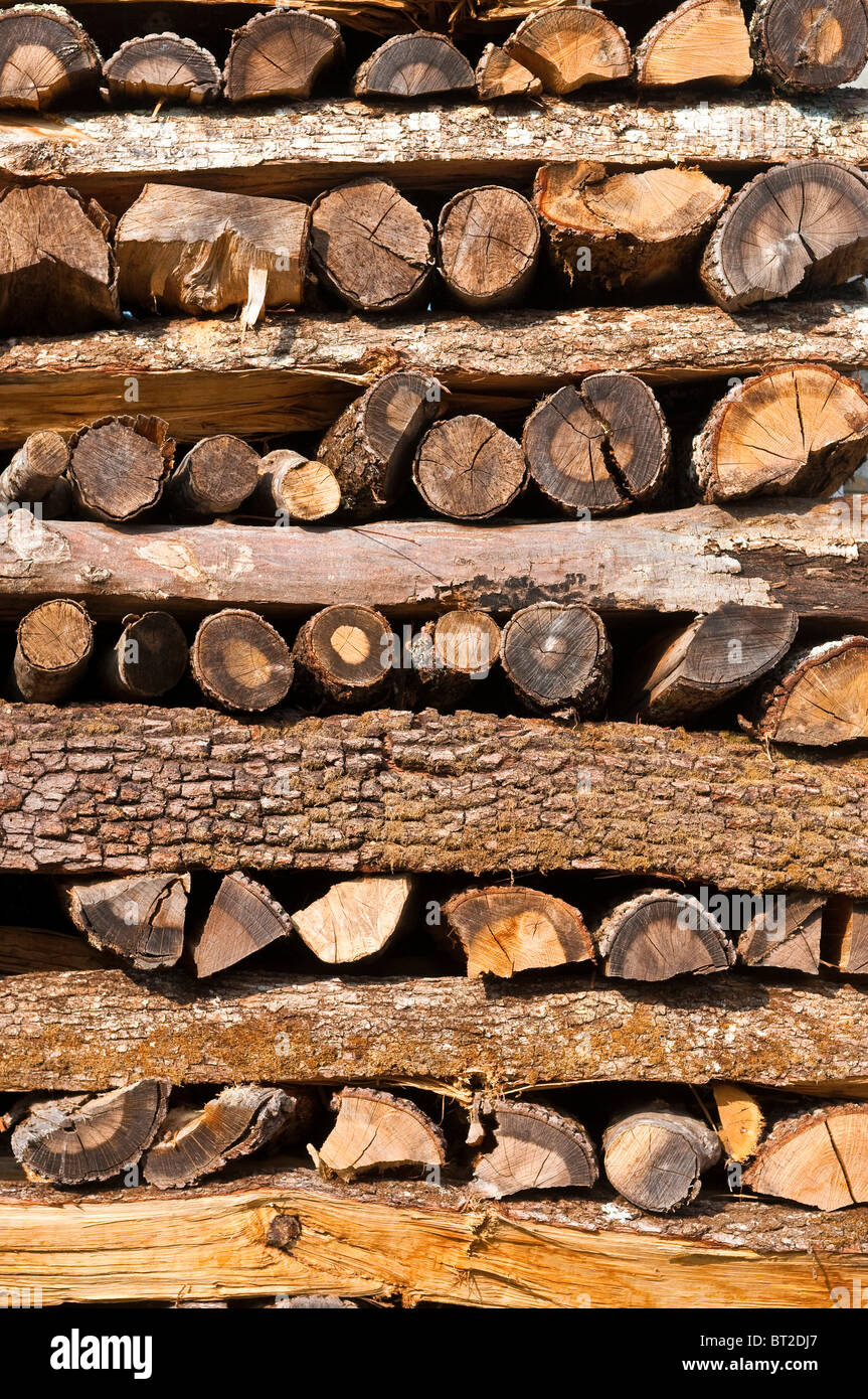 Pile de bois de chêne pour combustible domestique, les feux ouverts et poêles - France. Banque D'Images