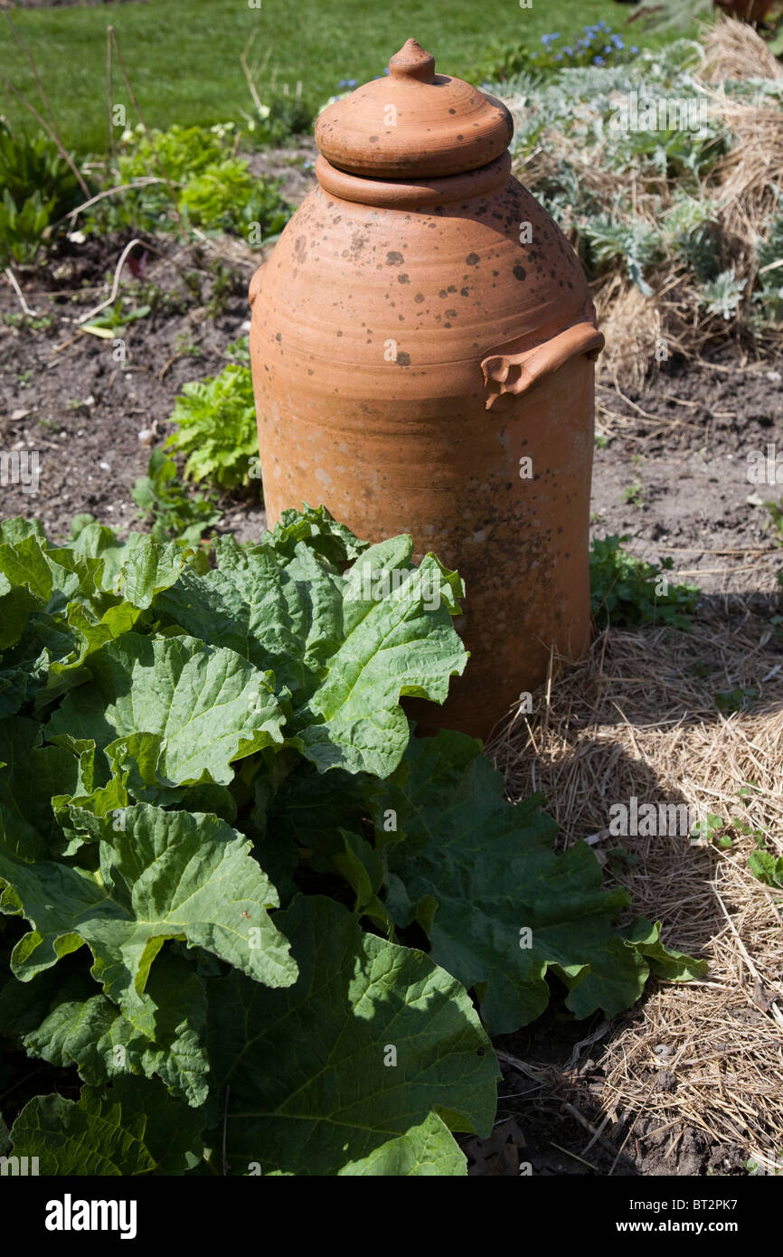 Couvercle de poterie utilisée pour forcer la rhubarbe, Gilbert White's house Selborne Hampshire England UK Banque D'Images