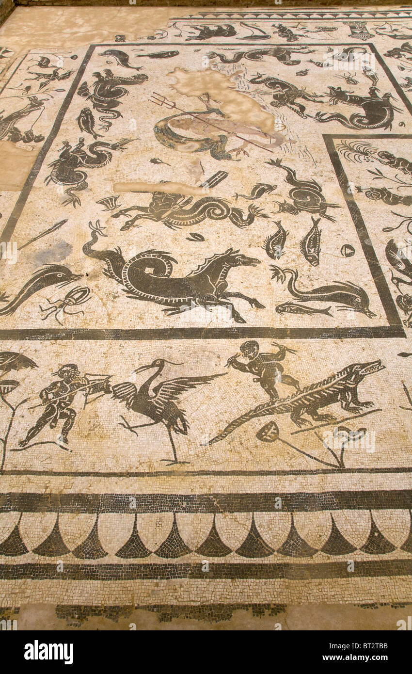 Sol de mosaïque dans la chambre de Casa de Neptuno / Neptune 's villa / maison, dans la ville romaine d'Italica / Itálica près de Séville, en Espagne. Banque D'Images