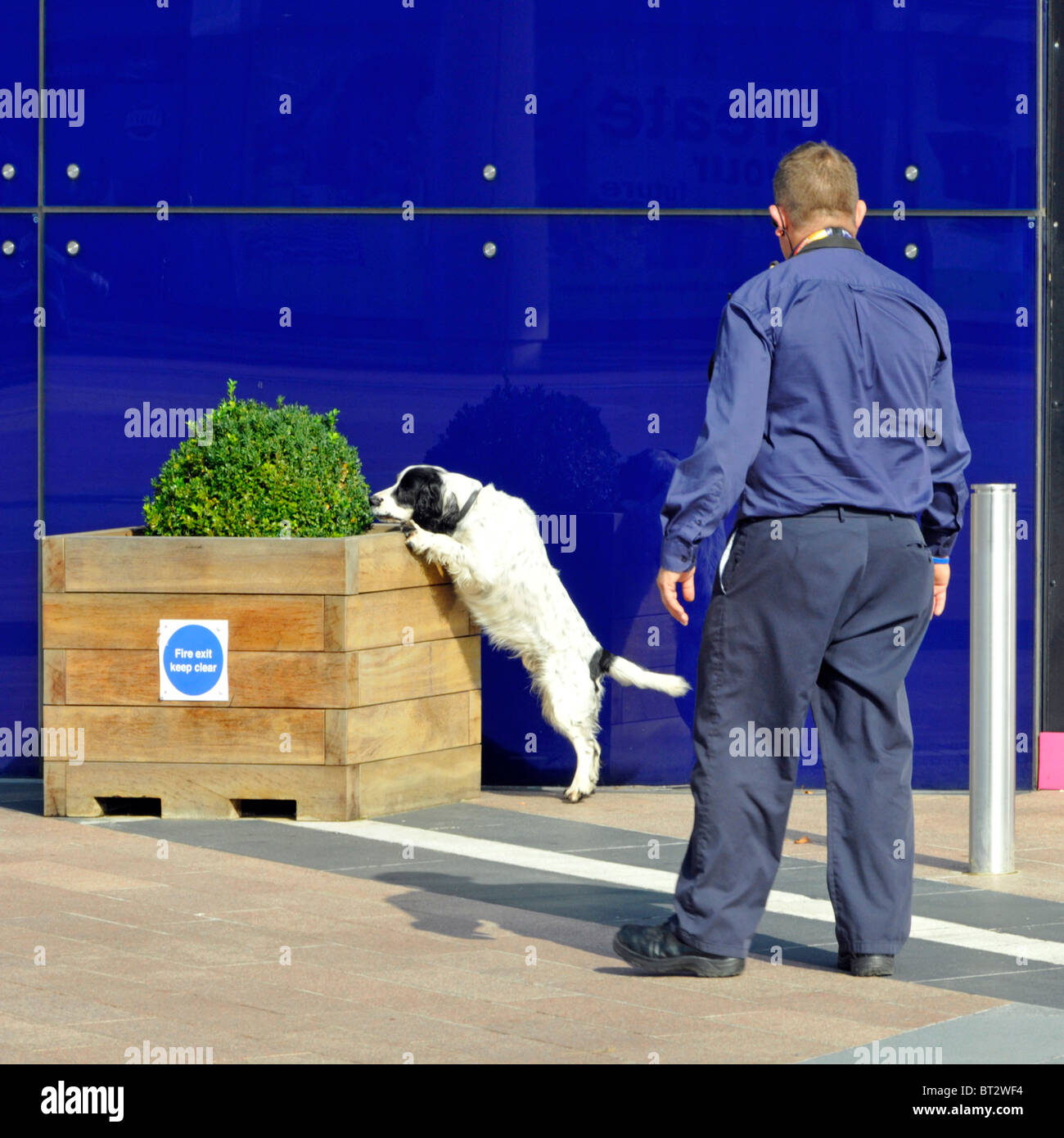 Chien Renifleur contrôle de grands événements de Londres Banque D'Images