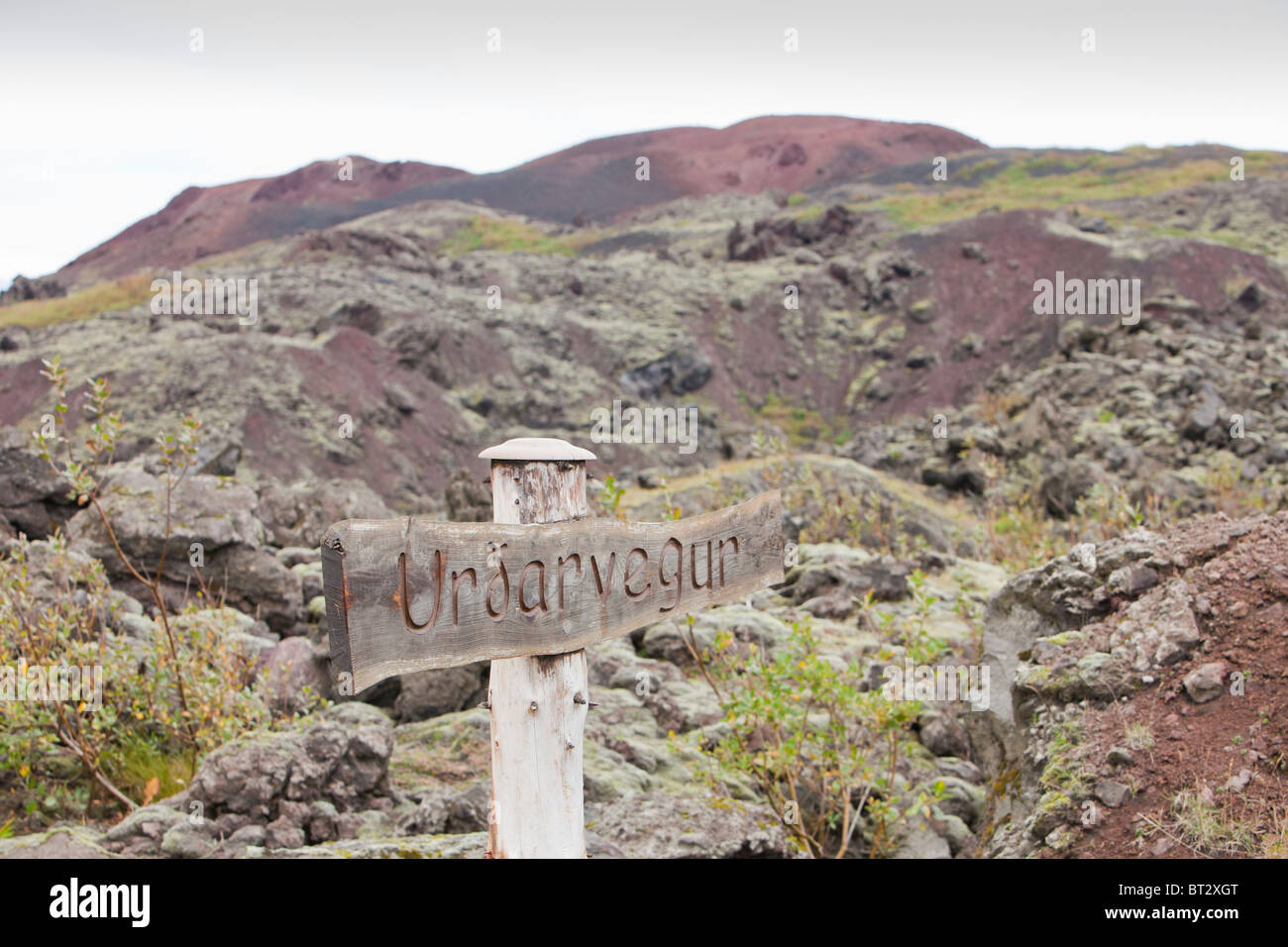 Dans l'écoulement de lave volcanique Heimaey ville qui a presque détruit la ville, les îles Westman, Islande. Banque D'Images