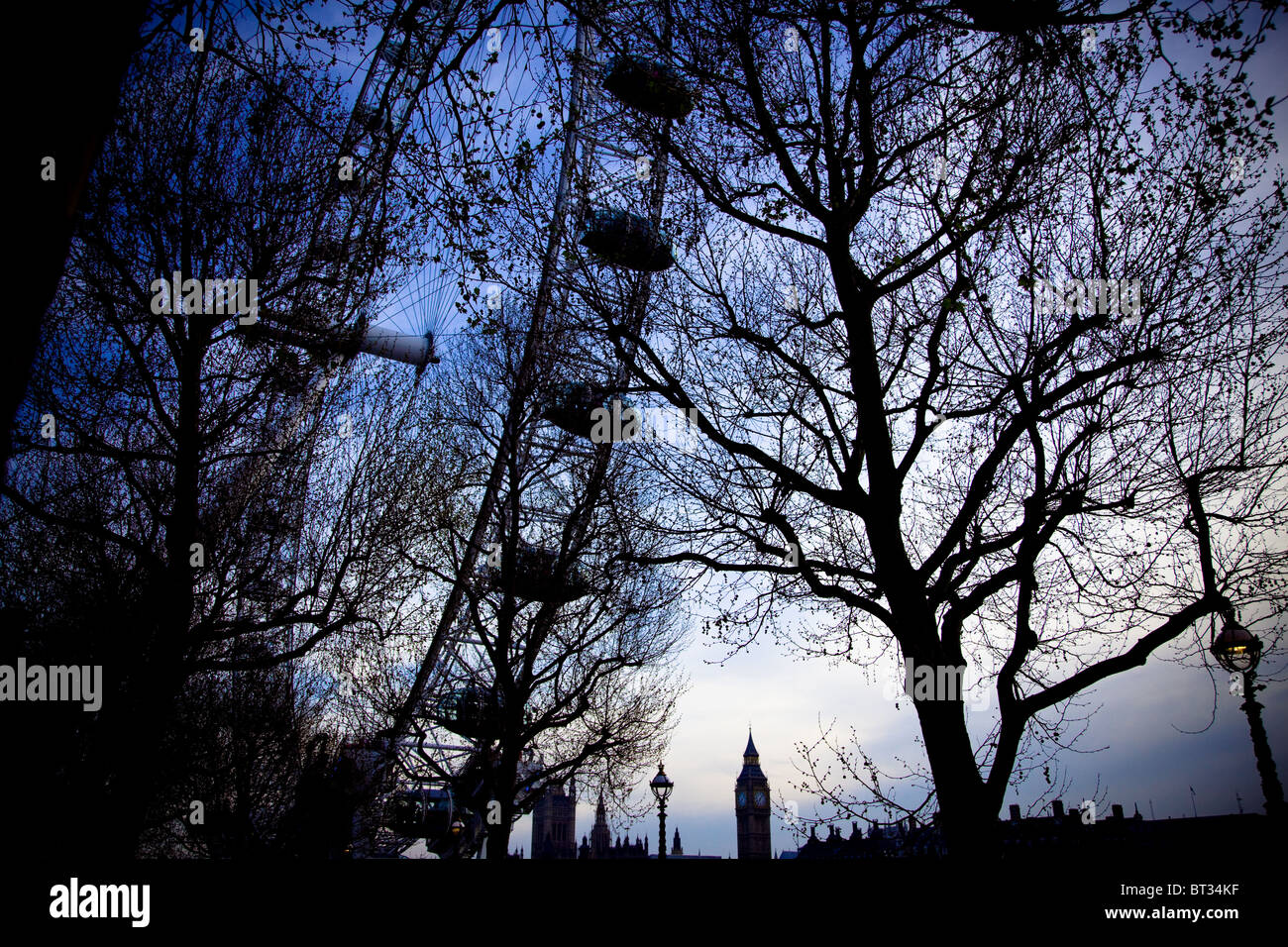 London Eye à travers les arbres avec Big Ben en arrière-plan. Banque D'Images