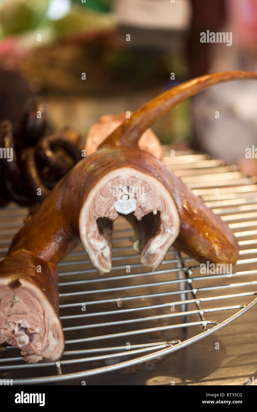 Roast Dog en vente à Hanoi Vietnam - un exemple de la nourriture étrange ou bizarre mangée par les gens du monde entier Banque D'Images