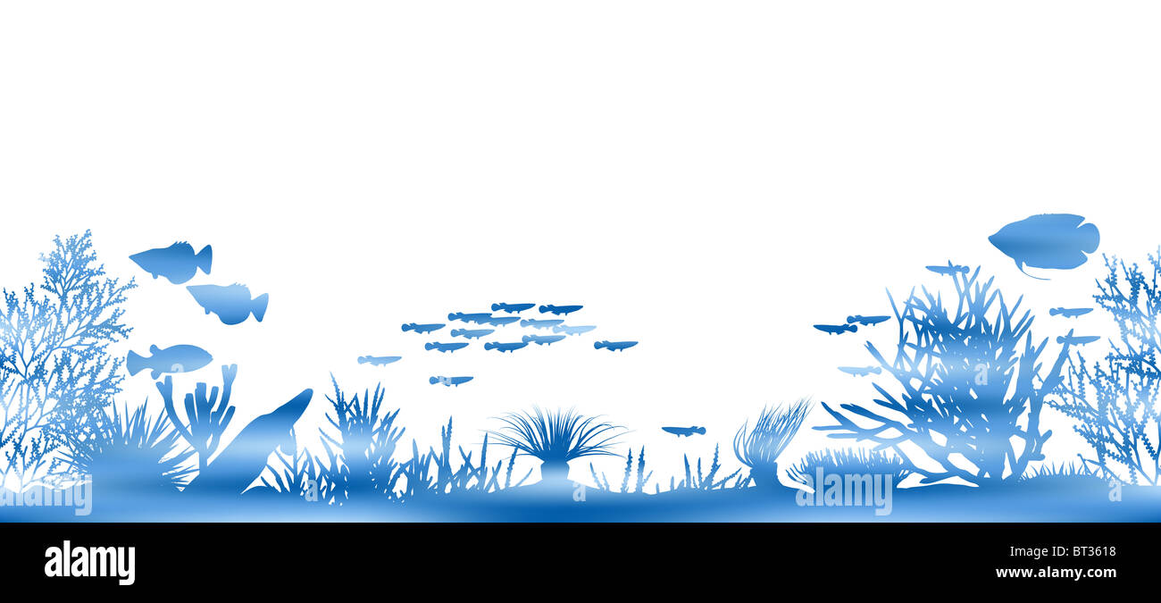 Illustration de coraux et de poissons d'eau on white Banque D'Images