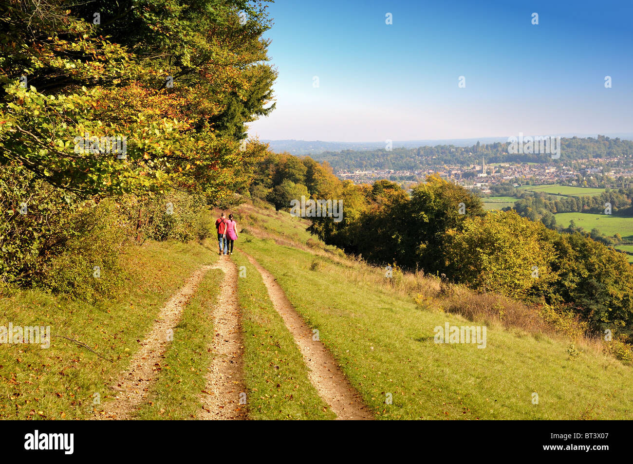 Les North Downs près de Dorking Surrey , Banque D'Images