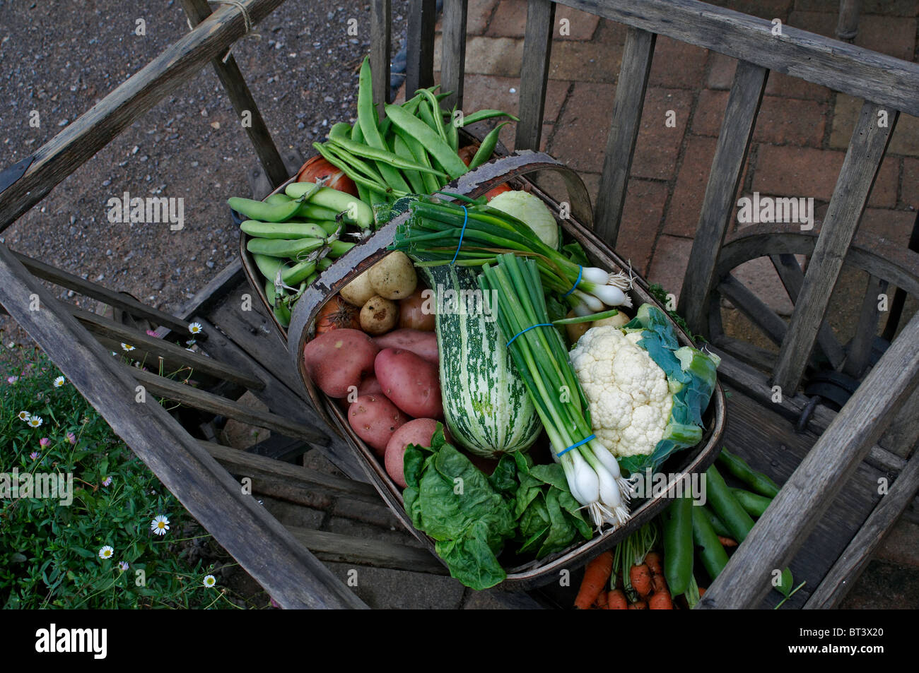 Une vue de détail de produits d'un jardin comestible avec une sélection de légumes Banque D'Images