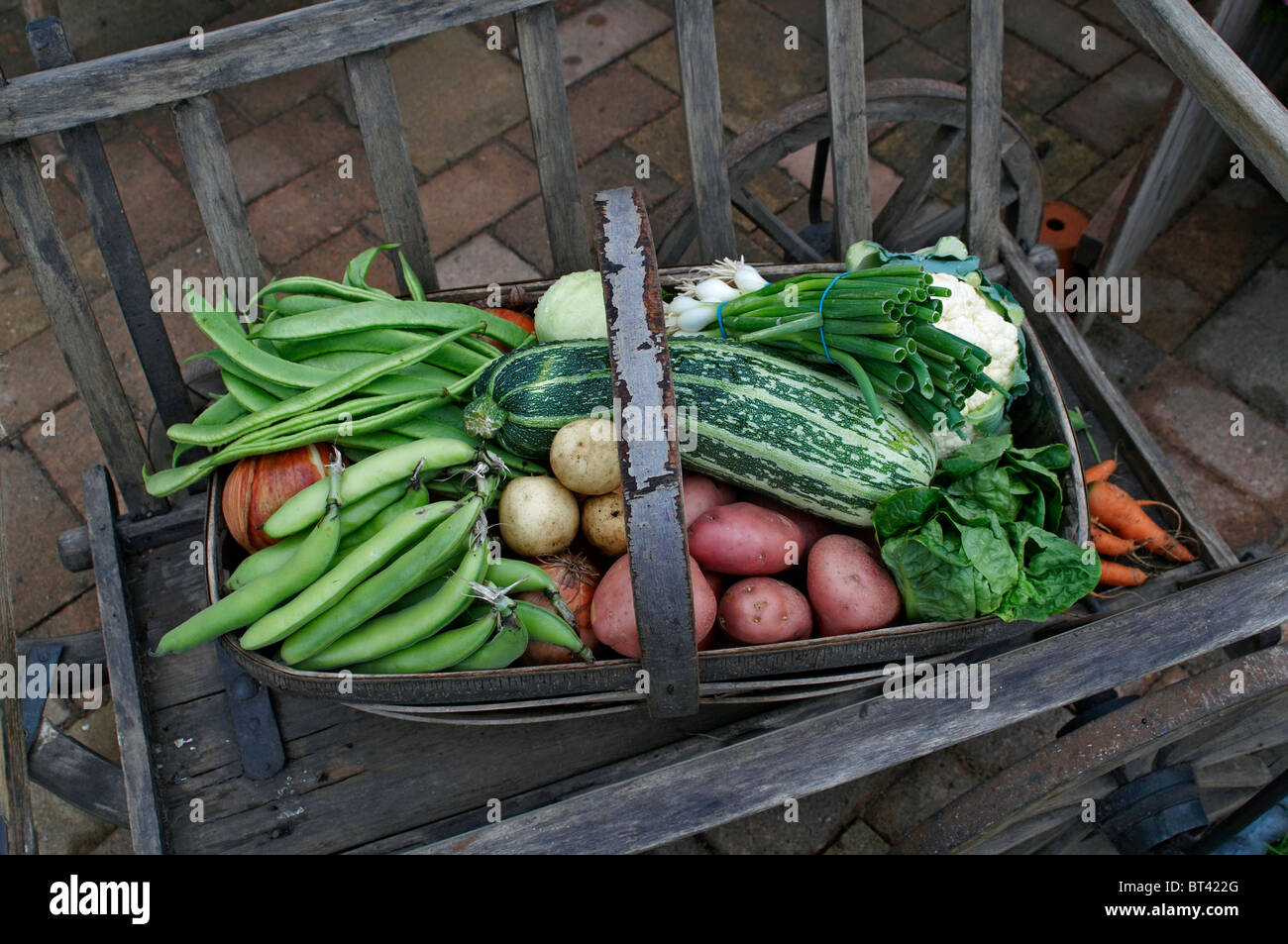 Une vue de détail de produits d'un jardin comestible avec une sélection de légumes Banque D'Images