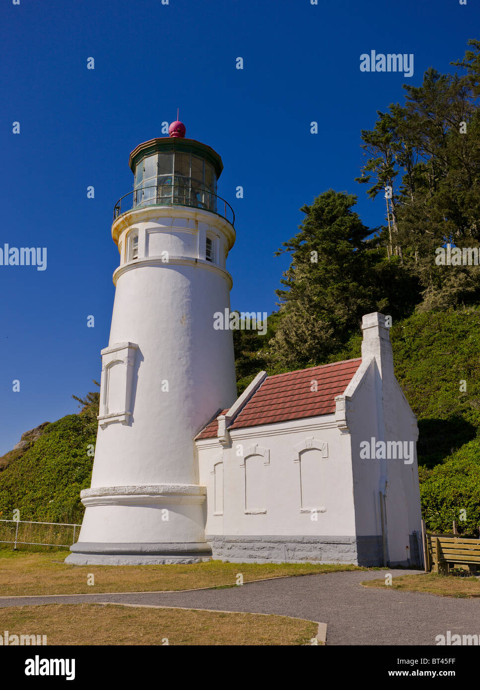 Tête HECETA, Oregon, USA - phare Heceta Head sur la côte de l'Oregon. Banque D'Images