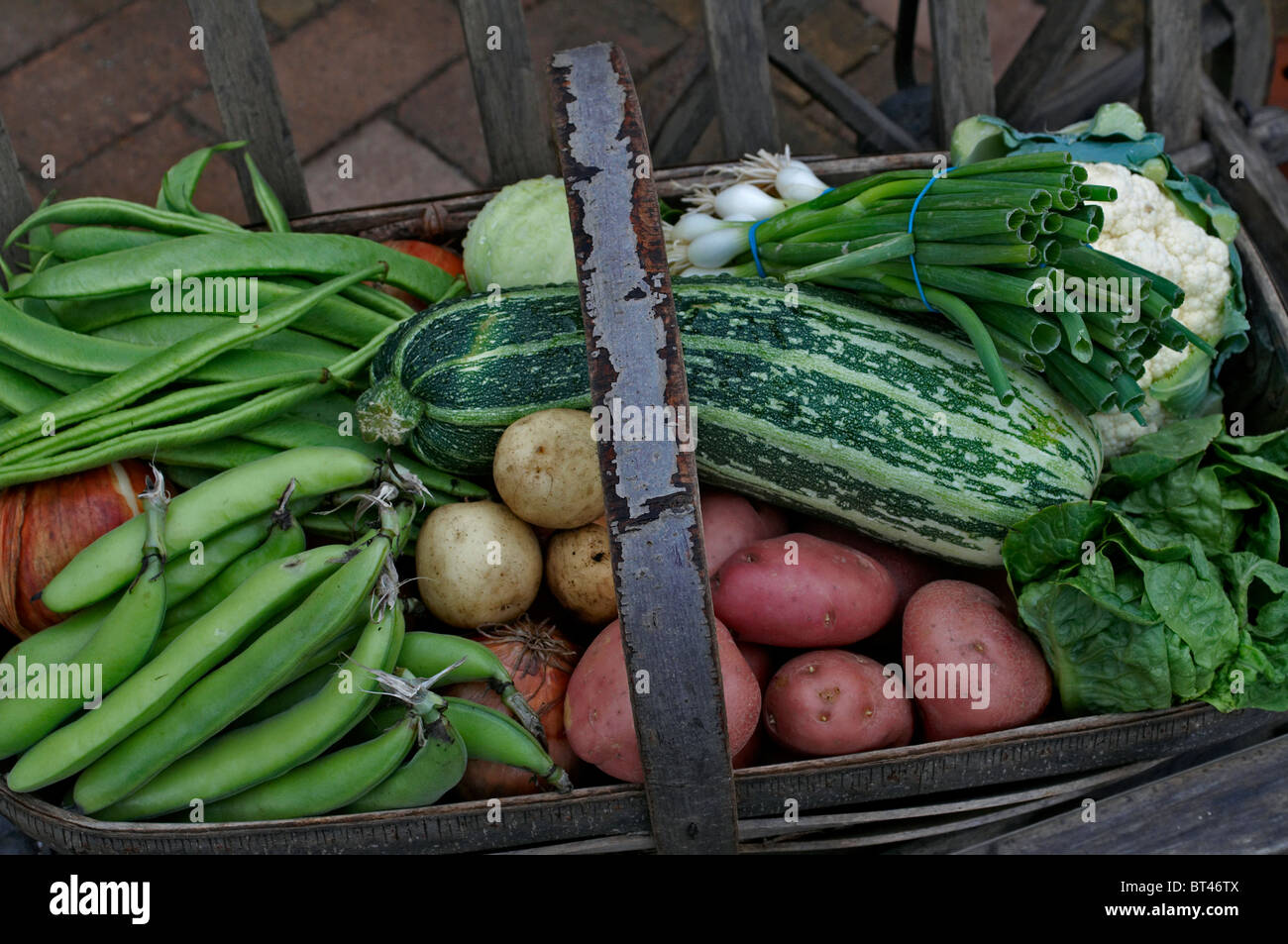 Une vue de détail de produits d'un jardin comestible avec une sélection de légumes Banque D'Images