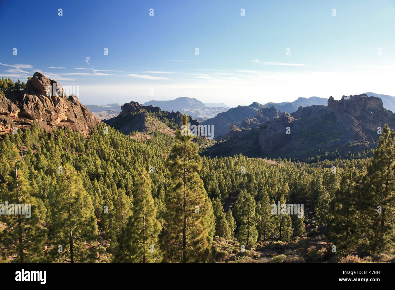 Canaries, Gran Canaria, le centre de montagne, sentier de randonnée de Roque Nublo Banque D'Images