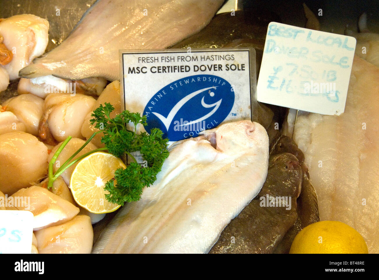 Poisson frais Hastings du Marine Stewardship Council (MSC sole certifiée durable en vente au rock-a-pêches Nore Hastings Banque D'Images