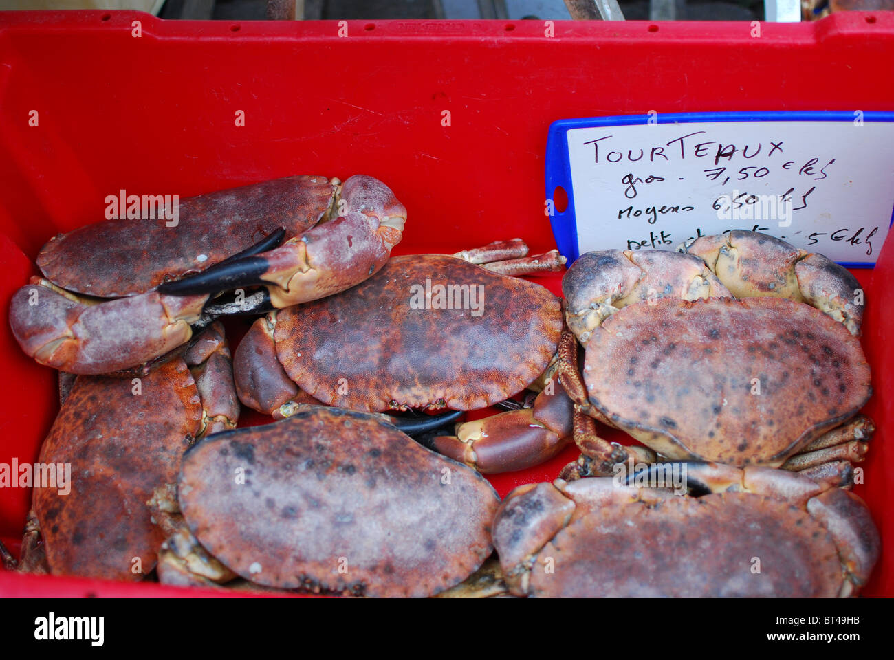 Les crabes (tourteaux) à vendre au marché en Bretagne, France Banque D'Images