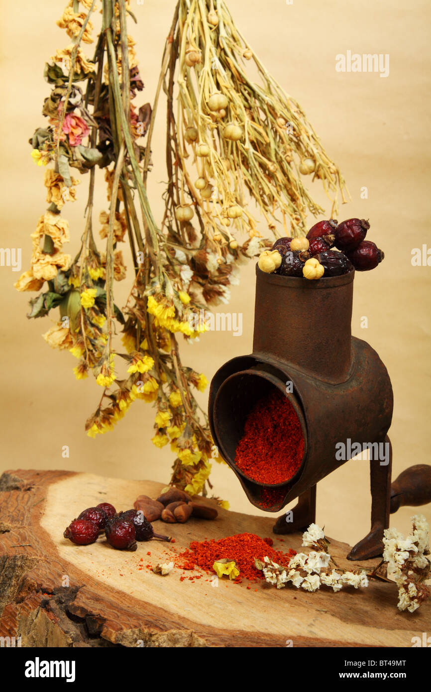 La nature morte culinaire avec handmill, d'épices et des rameaux de fleurs sèches Banque D'Images