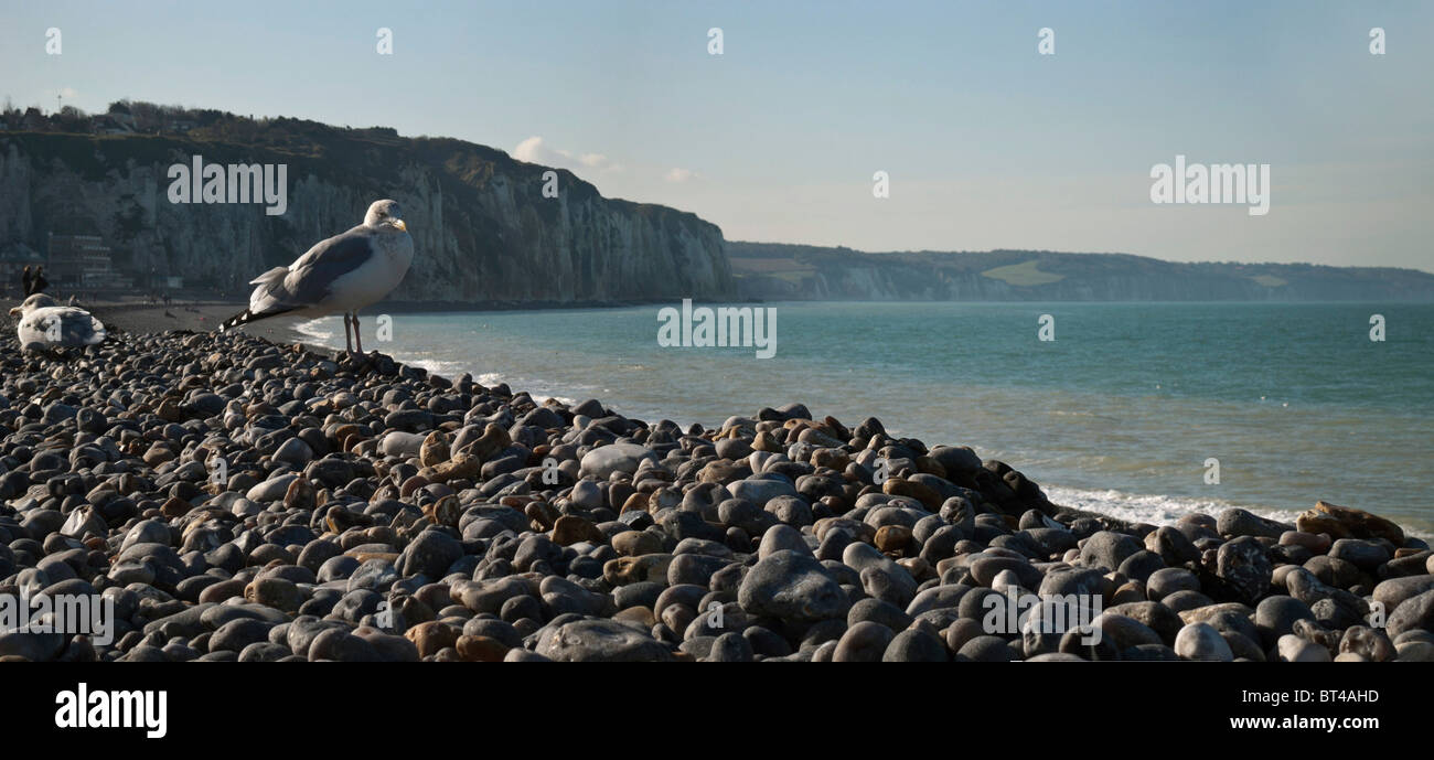 Dans la manche, Dieppe Banque D'Images