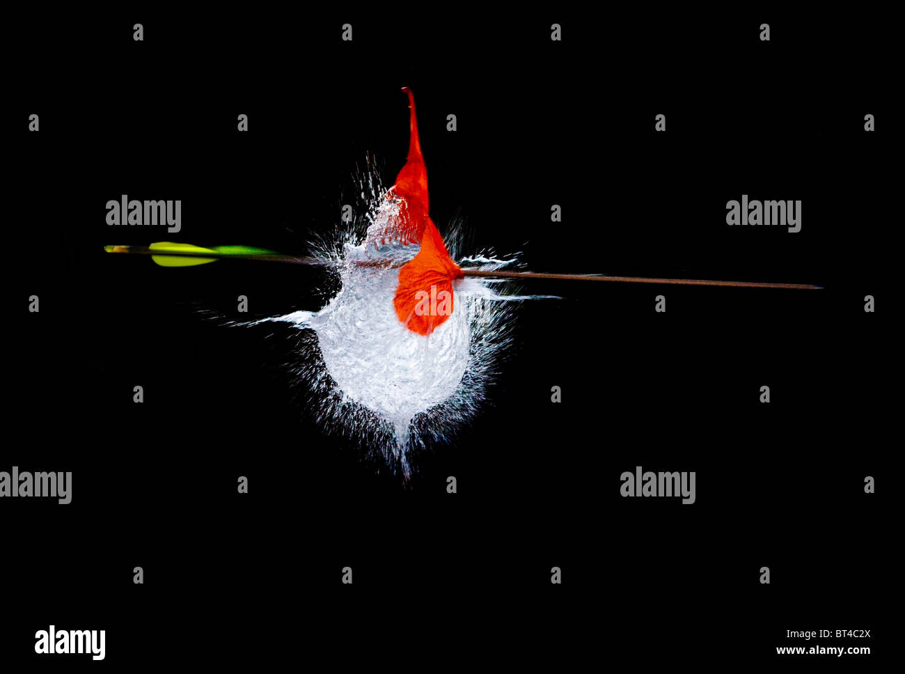 Gursting ballon frappé par la flèche.isolé sur fond noir;la photographie à haute vitesse Banque D'Images