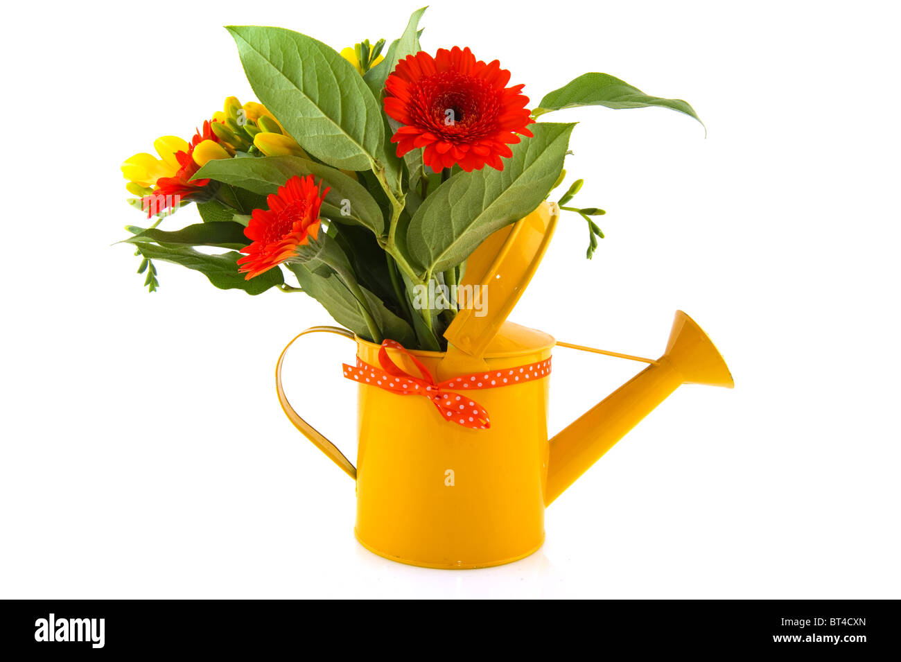 Bouquet de fleurs orange et jaune avec Gerber Freesia dans arrosoir Banque D'Images