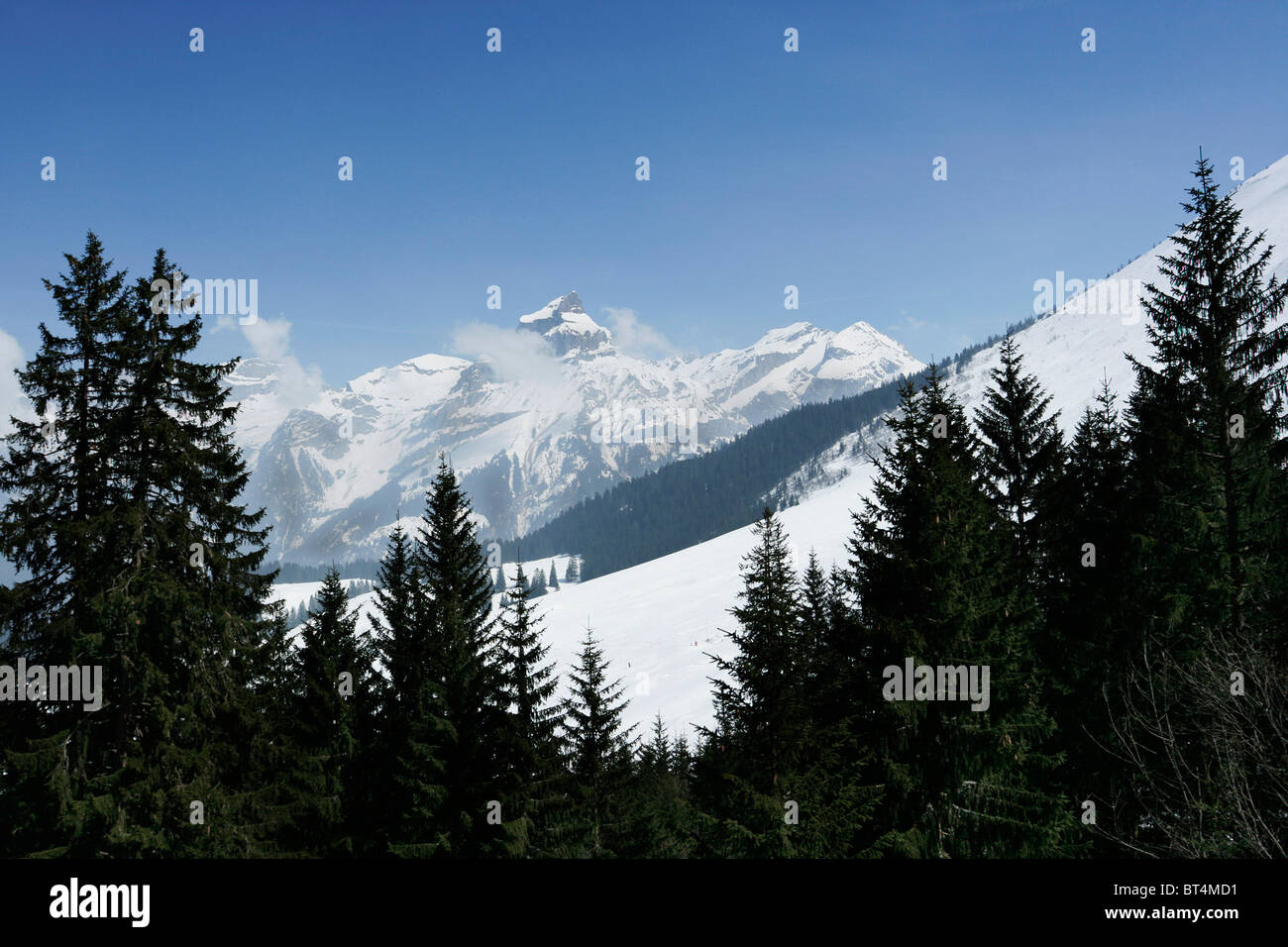 Vue des Alpes suisses depuis le mont Titlis en Suisse. Banque D'Images