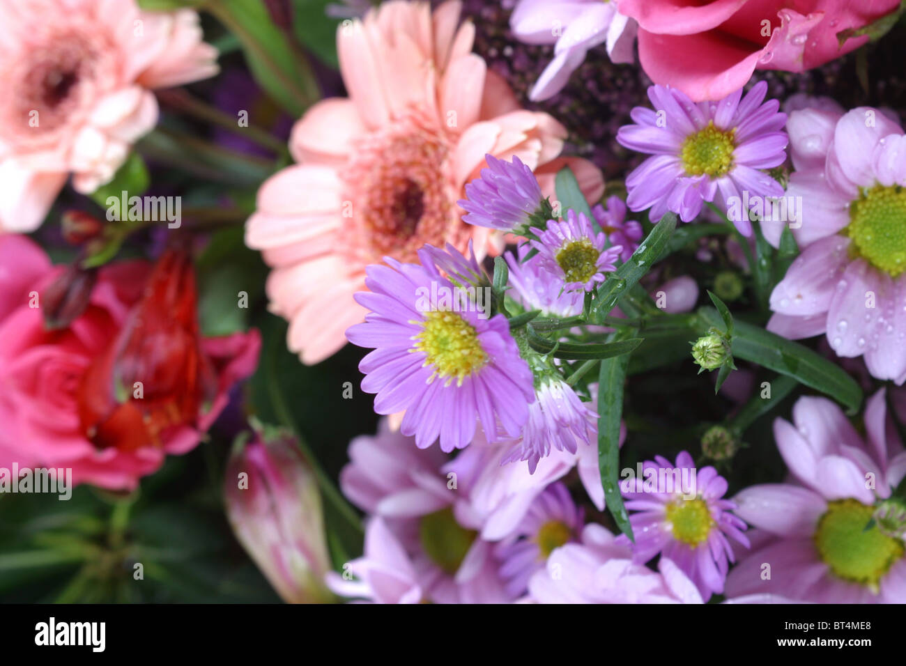 Bouquet de fleurs Banque D'Images