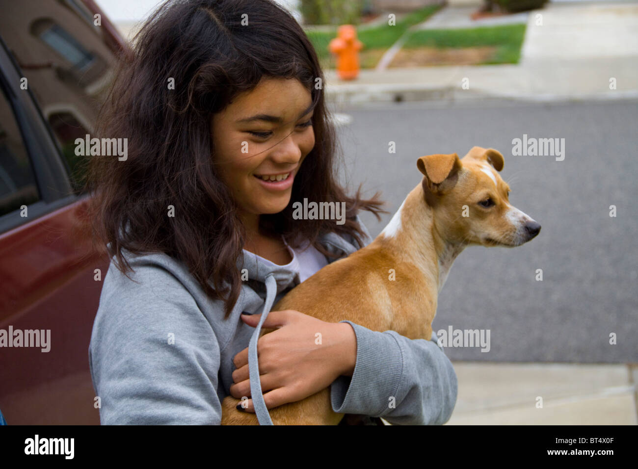 Mélange Ethnique japonaise fille Filipino-American race animal femelle chien petit mignon amour pal ami tenir alerte heureux Banque D'Images