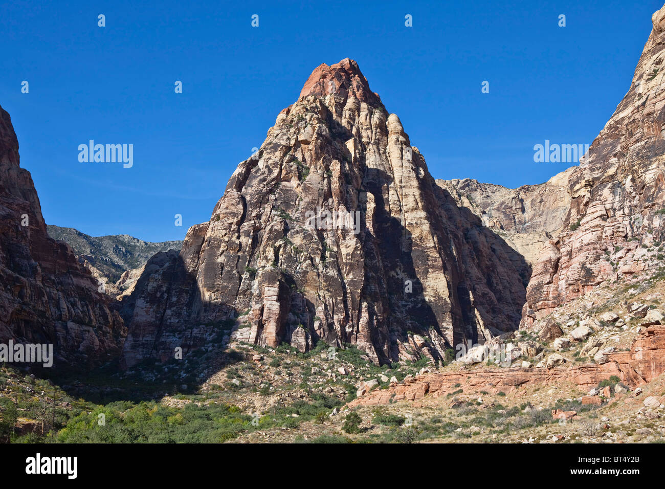 Début de la lumière du matin sur Pine Canyon Red Rock à pointe de conservation près de Las Vegas, Nevada. Banque D'Images