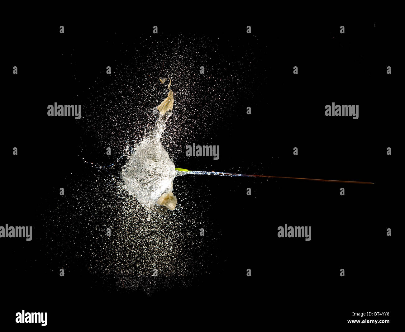 L'éclatement de l'eau avec ballon percé par la flèche.Photographie haute vitesse.isolé sur fond noir. Banque D'Images