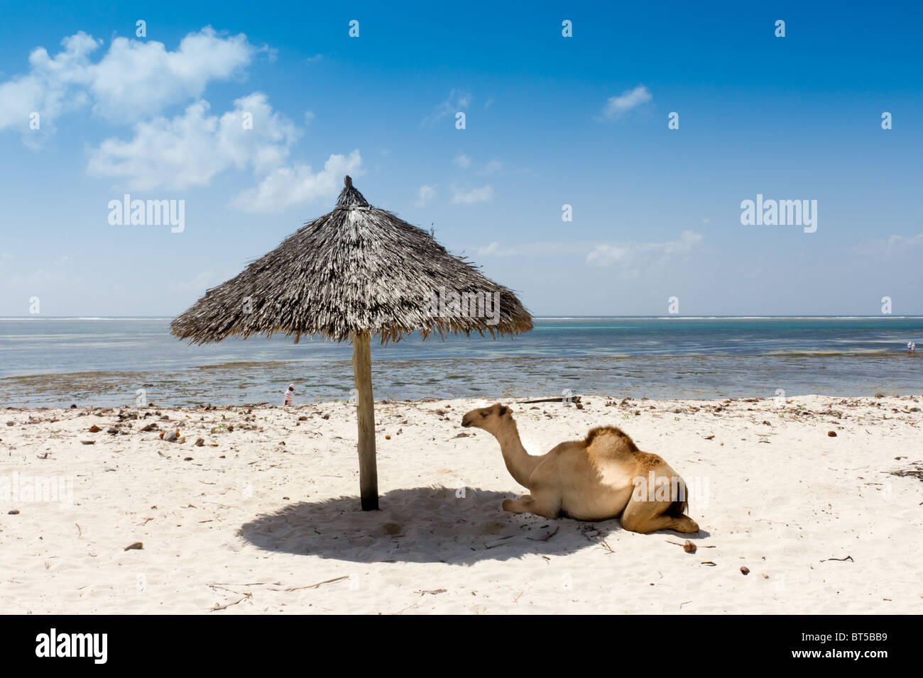 De l'ombre sous un parasol sur la plage de sable blanc. Prises Diani Beach Kenya Banque D'Images