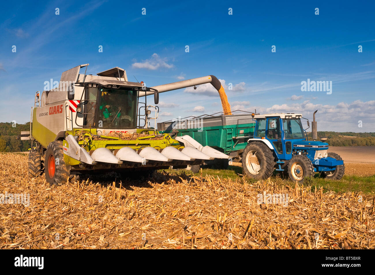 Rendmt Lexion moissonneuse-batteuse Claas 540 déchargement / Maïs Maïs doux récolte - Indre-et-Loire, France. Banque D'Images