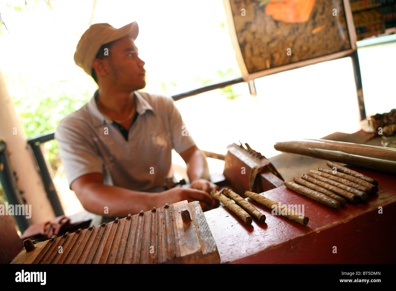 Dominican man main rouler un cigare Banque D'Images