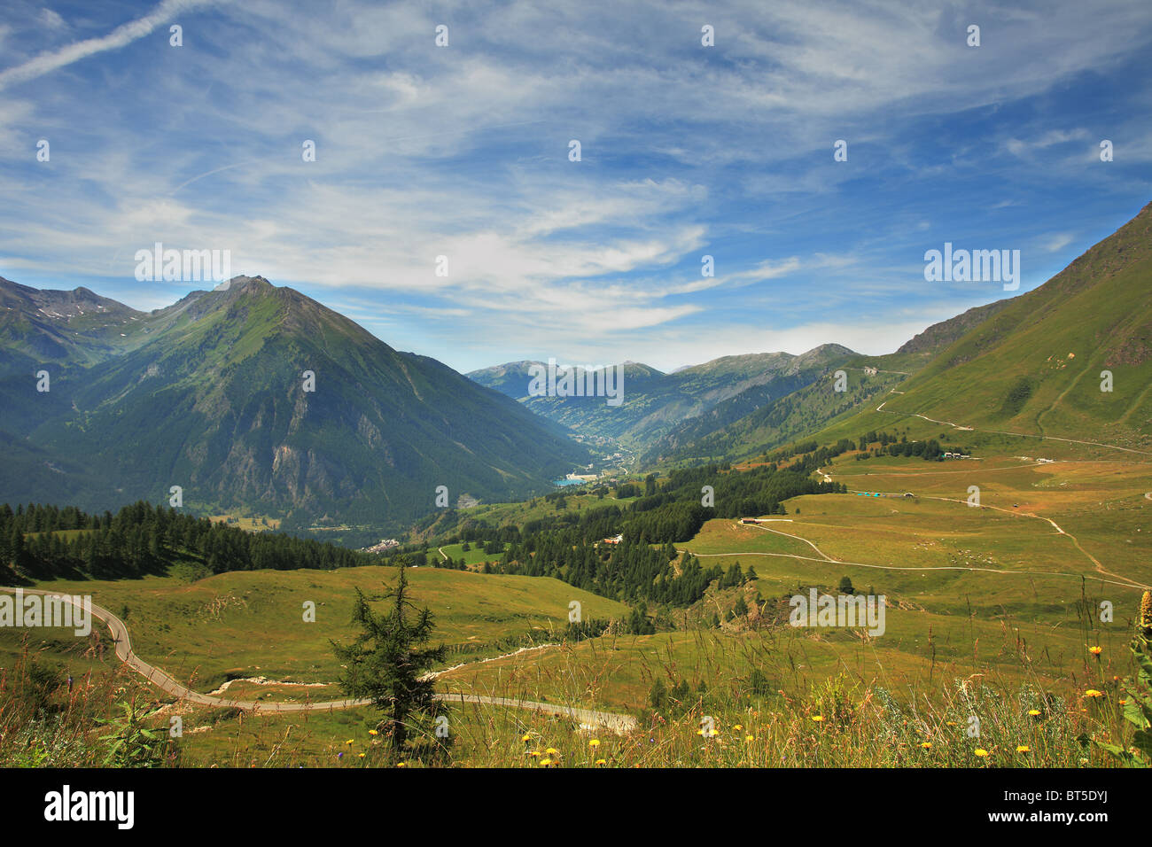 Belle vue sur les champs et prairies alpines des Alpes en Italie. Banque D'Images