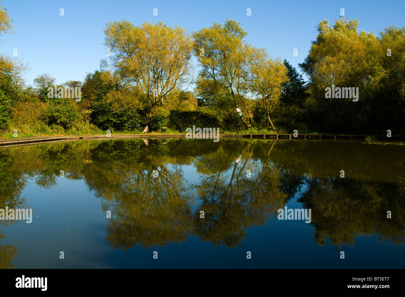 Crime Lake, parc national Daisy NOOK, Failsworth, Manchester, Royaume-Uni Banque D'Images