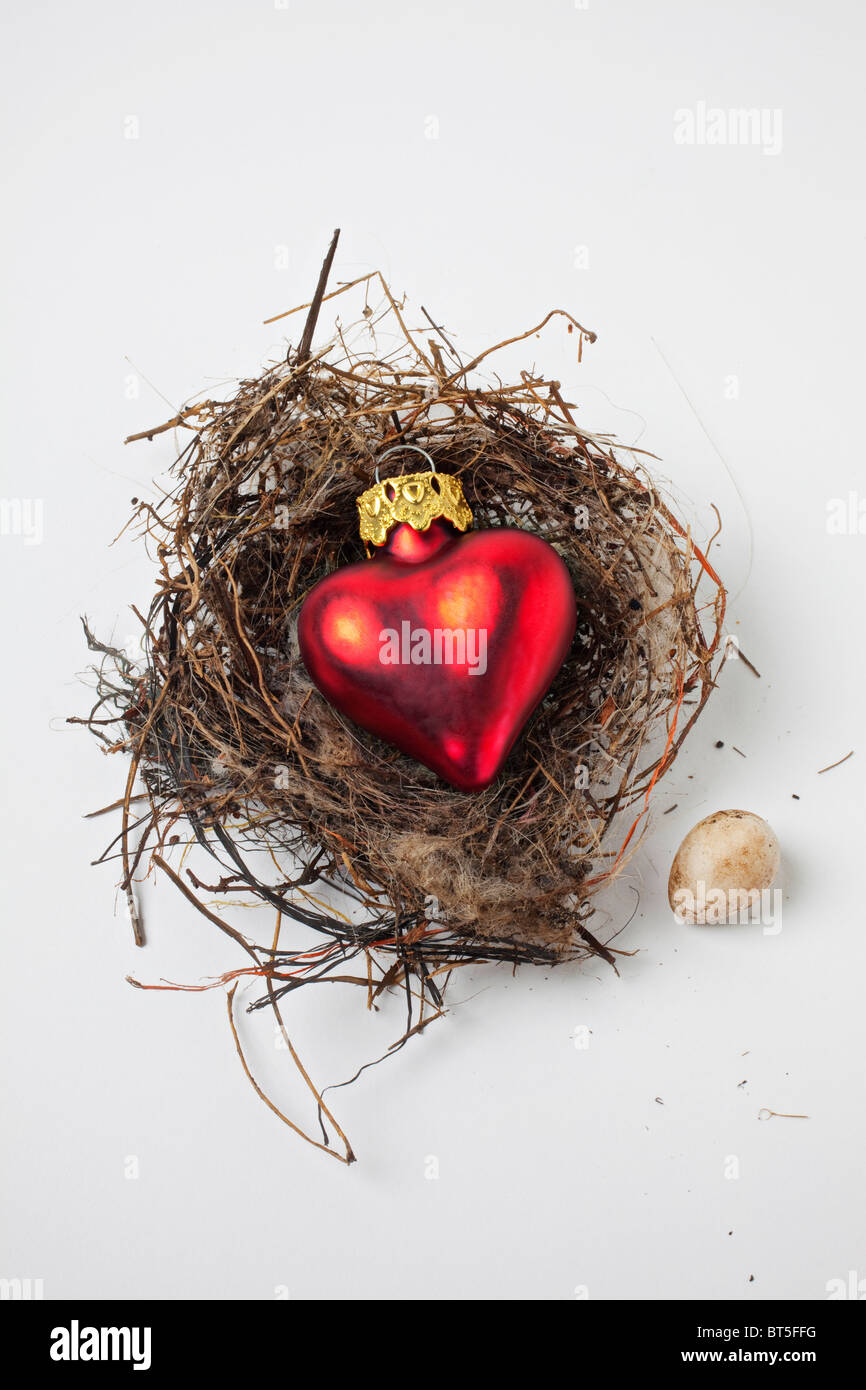Birds Nest avec coeur rouge et ornement Humming Bird egg Banque D'Images