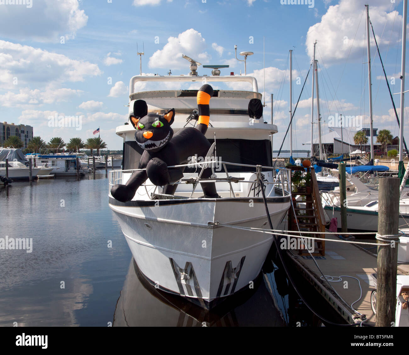 Le chat dans le yacht de luxe sur le lac Monroe au Port de Sanford en Floride Banque D'Images