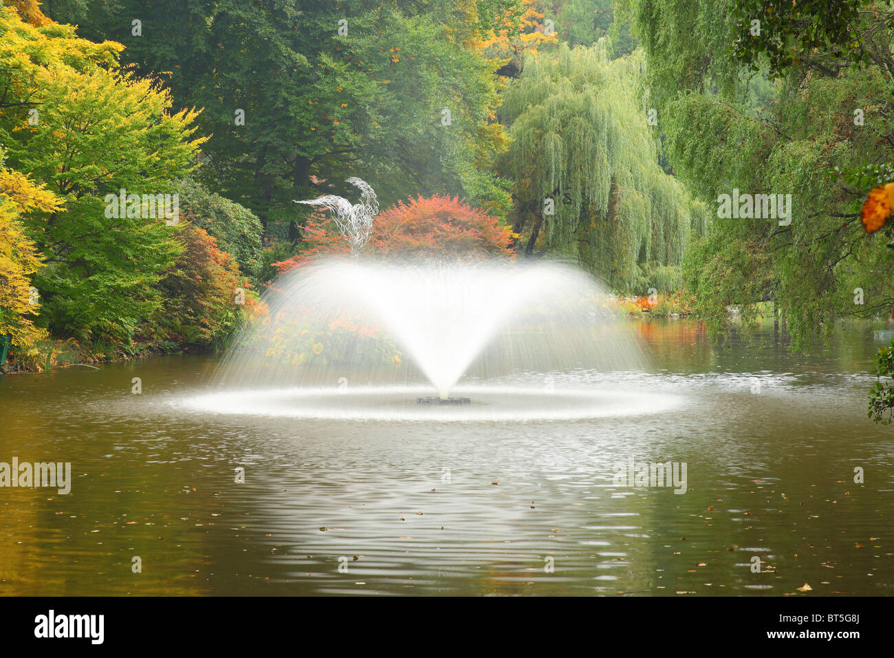 Calme silencieux Graden botanique de l'automne en automne à Wroclaw Pologne Banque D'Images