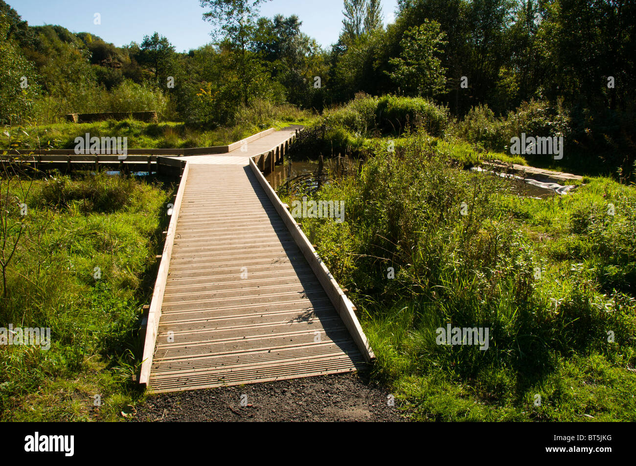 Passerelle en bois sur un étang de la faune, Parc Pont, Ashton en vertu de Lyne, Tameside, Manchester, UK Banque D'Images