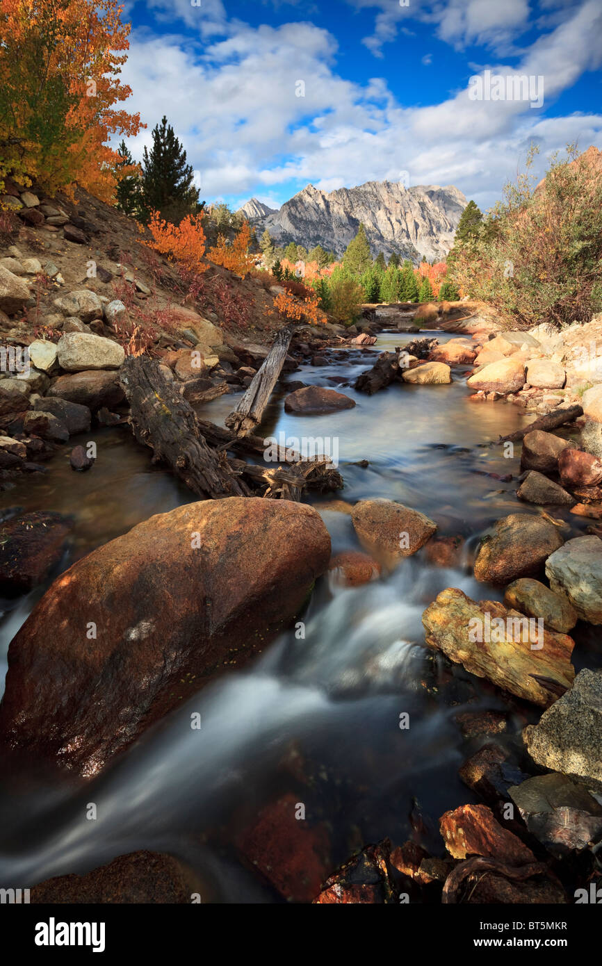 Vue d'automne d'un Creek dans les montagnes de la Sierra Nevada de Californie Banque D'Images