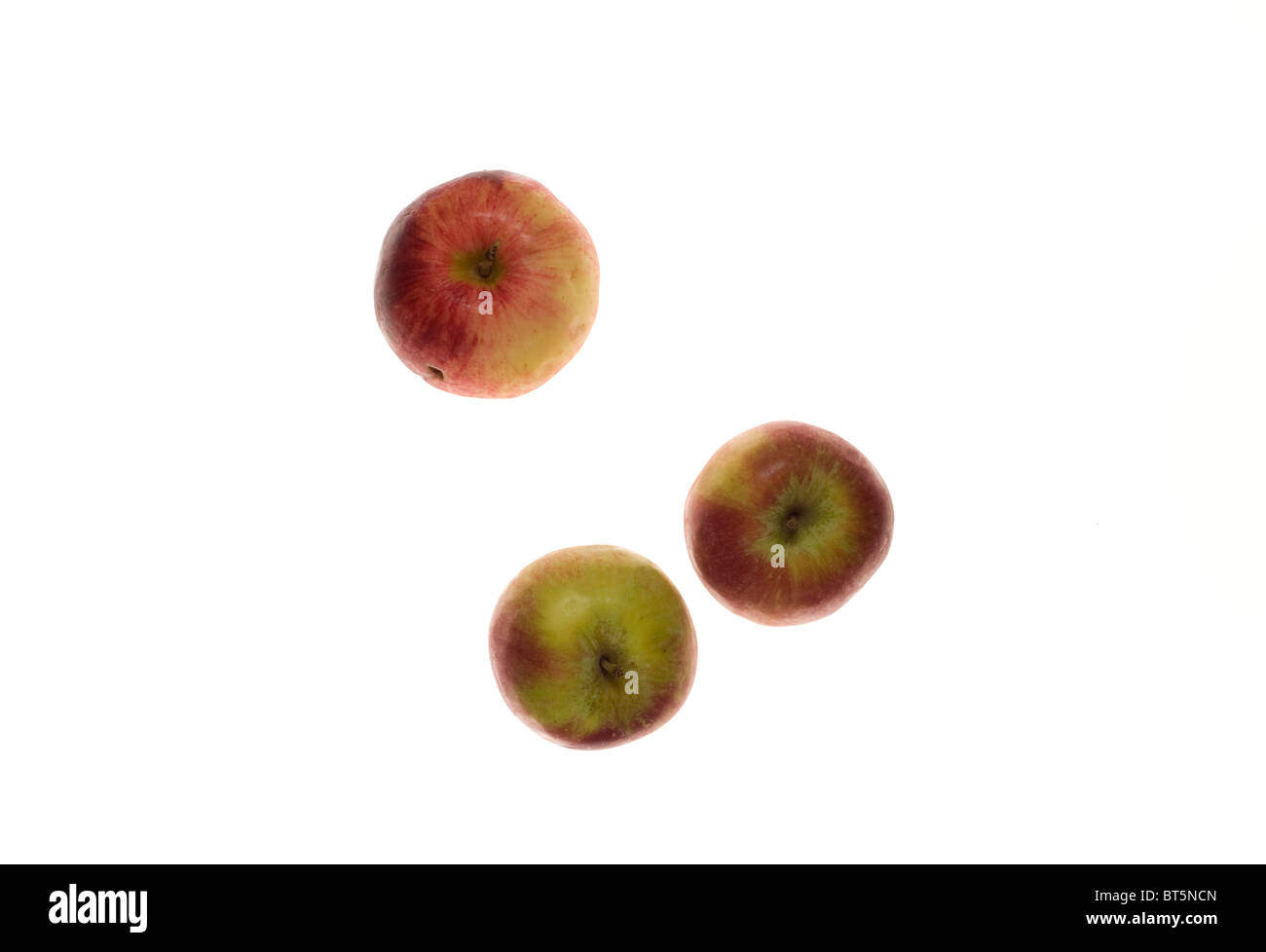 Pommes à l’automne Banque D'Images