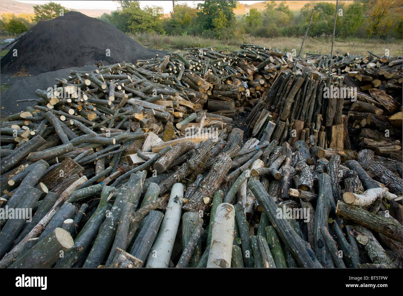 Dans la pile de bois charbon traditionnel-brûleur's yard à Viscri village saxon, Transylvanie, Roumanie Banque D'Images