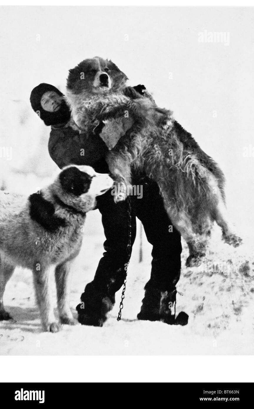 Traîneau à chiens de traîneau de chien homme sleddogs chiens hautement qualifié-roue moins porteur véhicule les faisceaux de glace neige hiver lignes r Banque D'Images