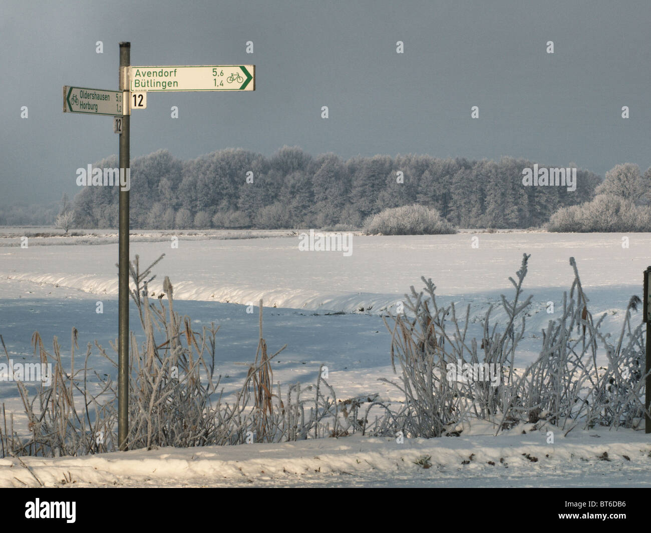 Panneau d'un vélo route dans la winterly Elbmarsch, Allemagne. Banque D'Images