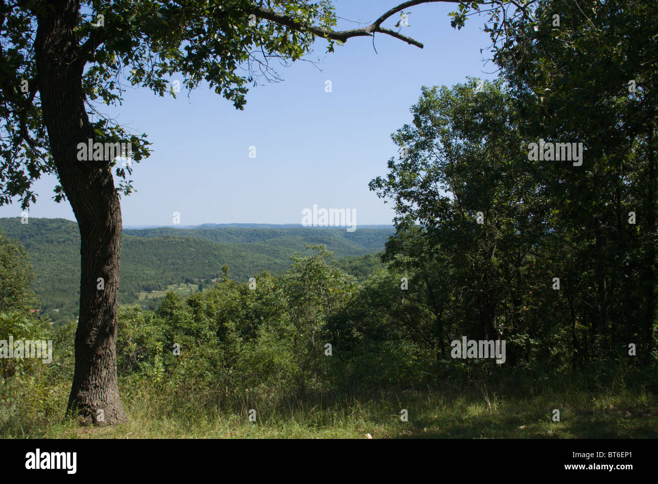 Après-midi d'été, la lumière montre les collines couvertes de l'arbre dans la région près de l'Ozarks Branson, Missouri. Banque D'Images