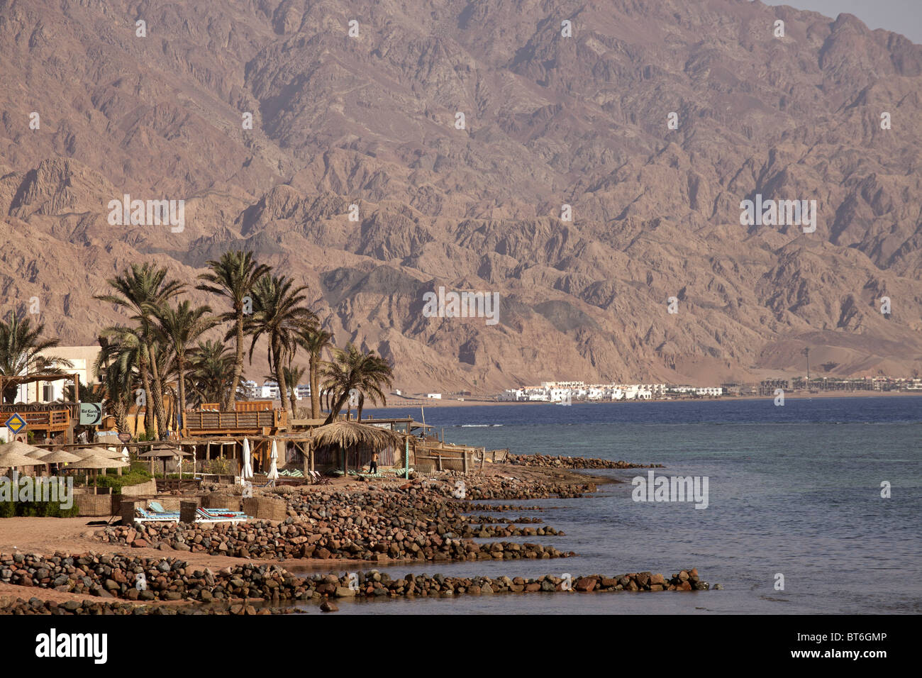 Dattiers et de la plage de Dahab, Sinaï, Égypte, Afrique Banque D'Images