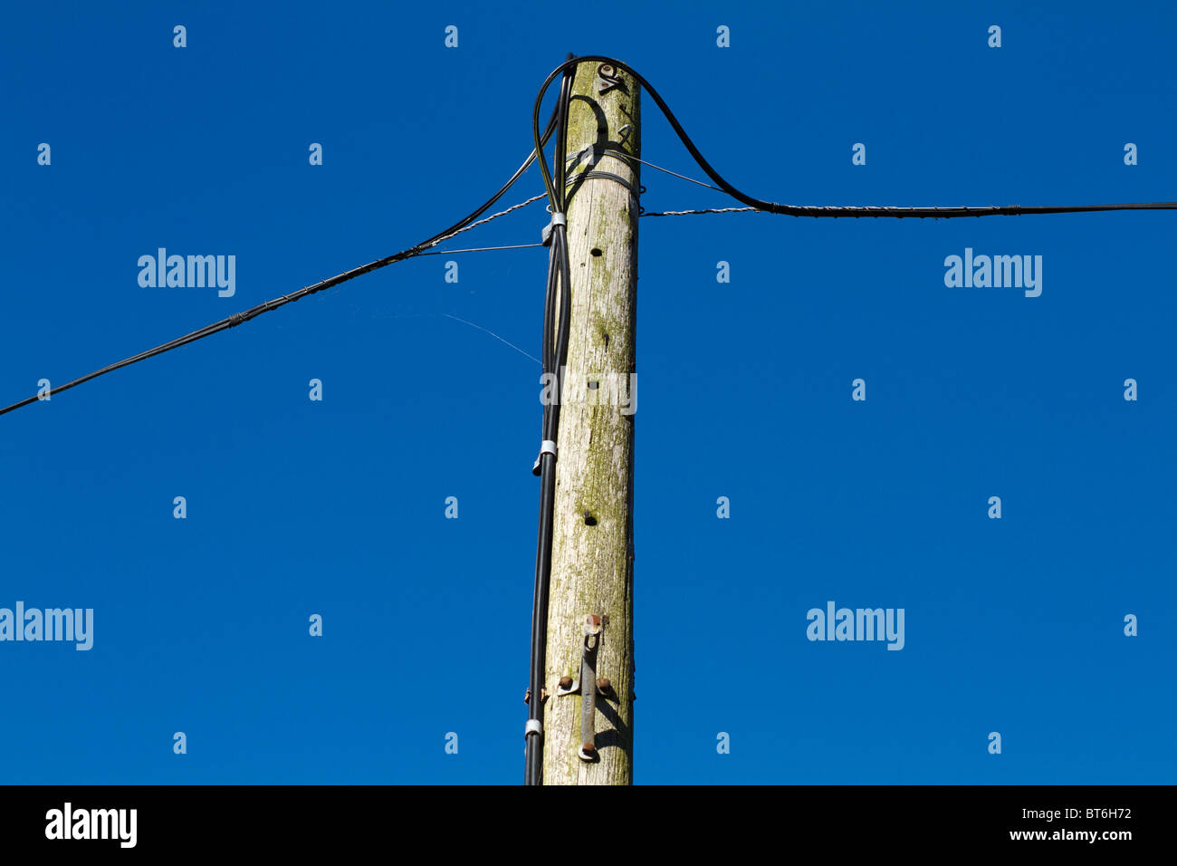 Les câbles téléphoniques et les câbles Banque D'Images