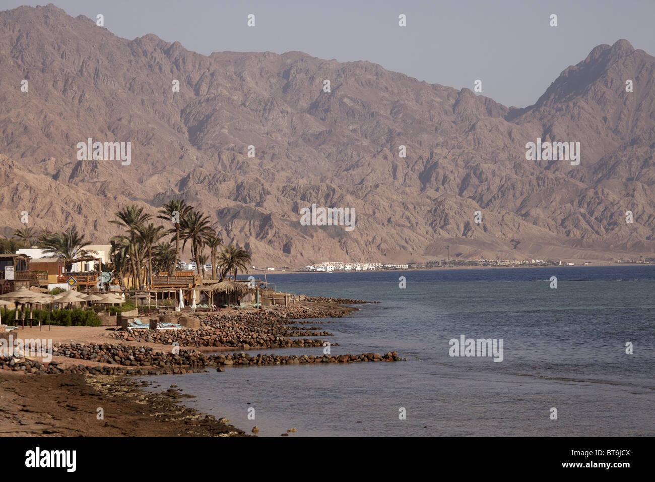 Dattiers et de la plage de Dahab, Sinaï, Égypte, Afrique Banque D'Images