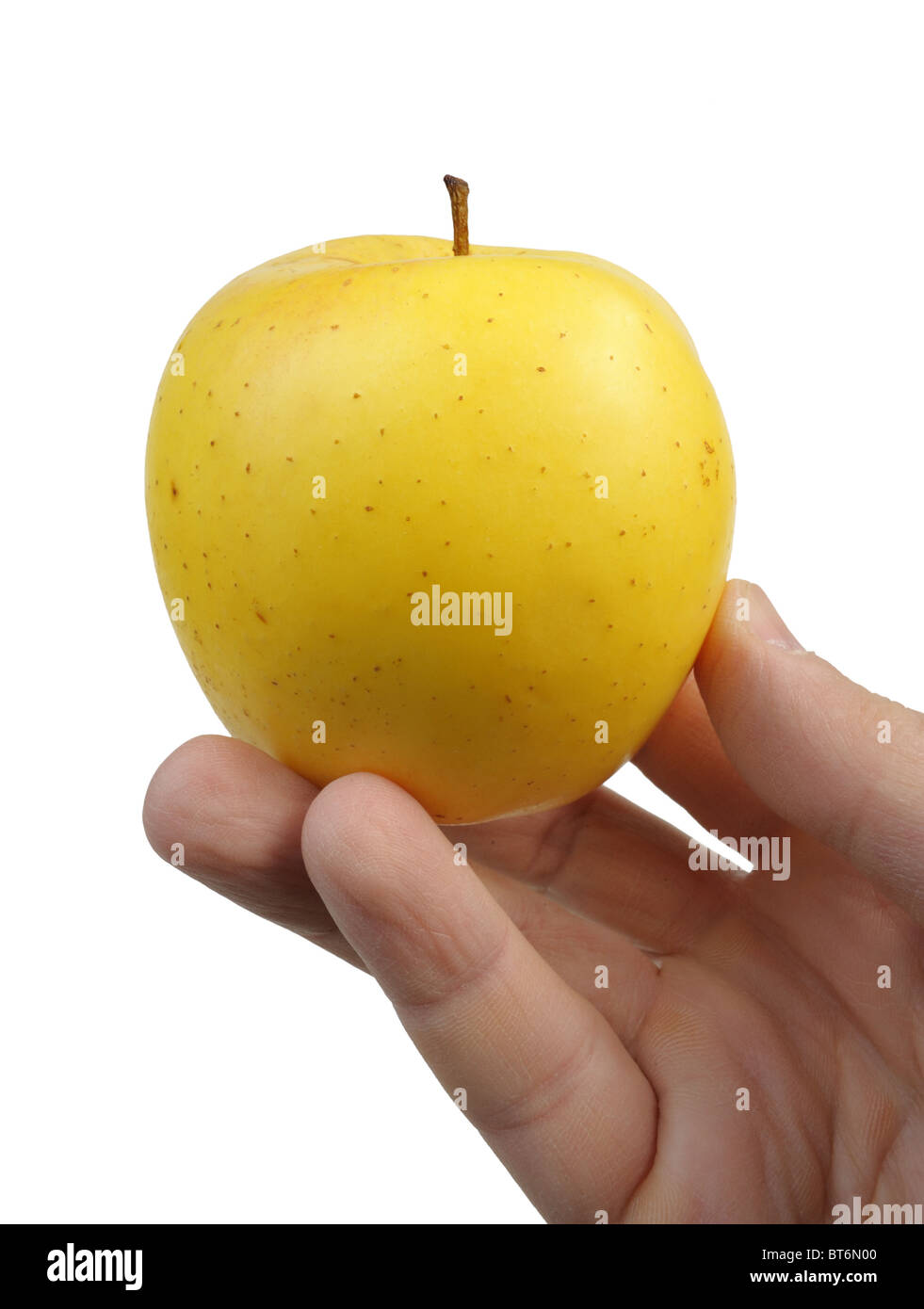 Yellow Apple dans la main Banque D'Images